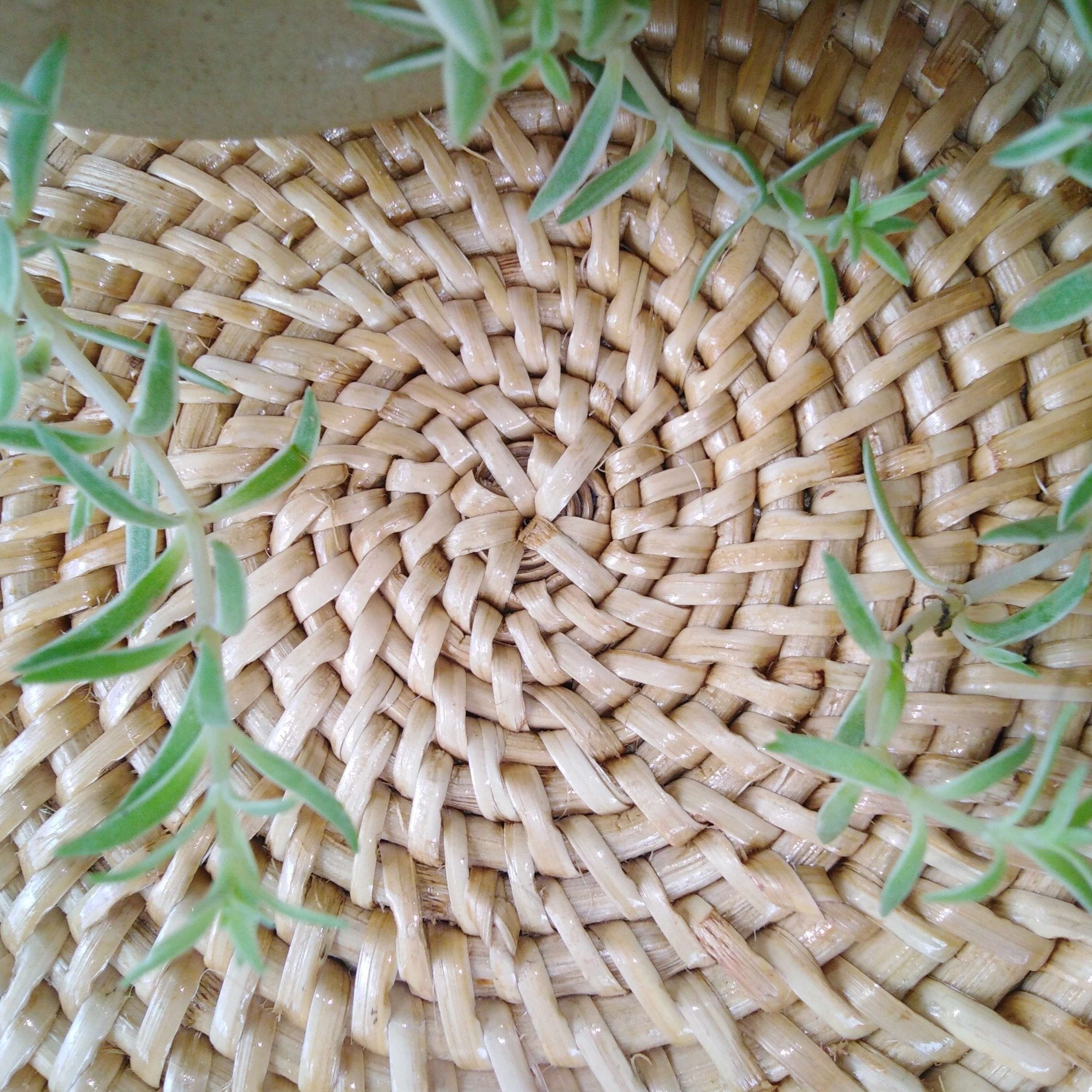 Circular Cane Woven Tray