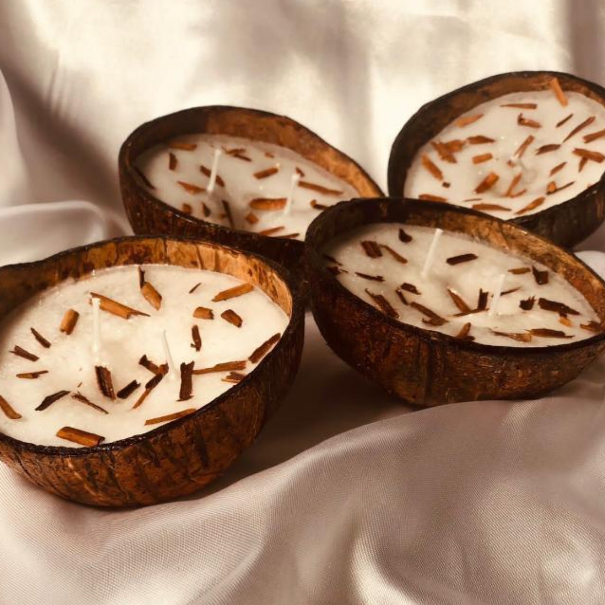 Coconut shell Candles (2 piece pack)