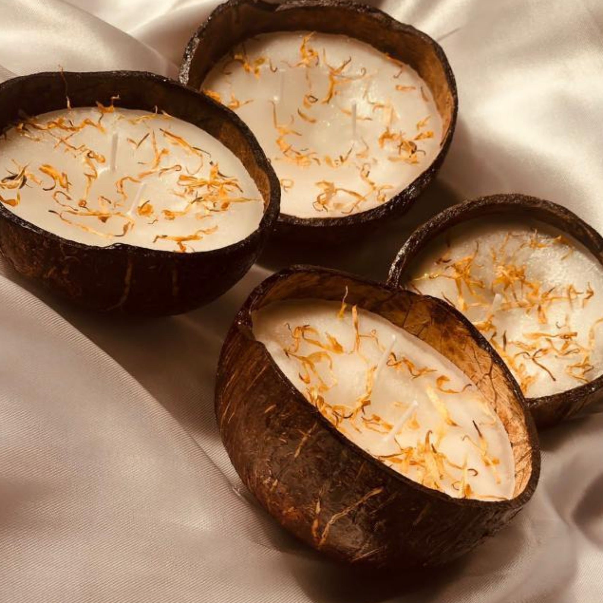 Coconut shell Candles (2 piece pack)